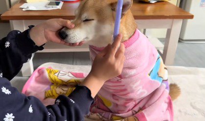 美容院のお客さん