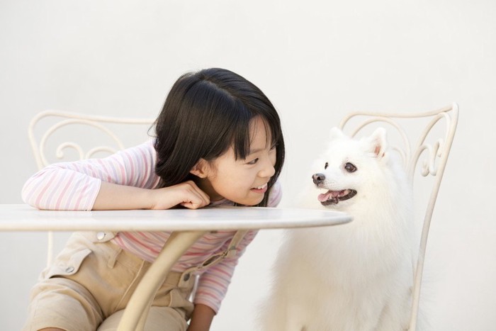 テーブルに座って見つめ合う少女と犬