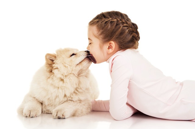 子供の口元を舐める犬