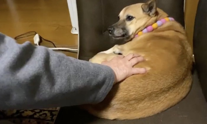 うっとり〜