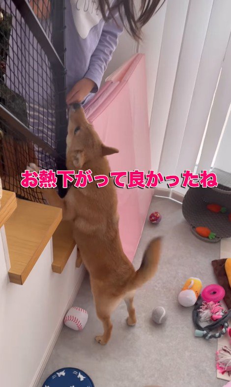 らむねちゃんとお姉ちゃんの再会⑩