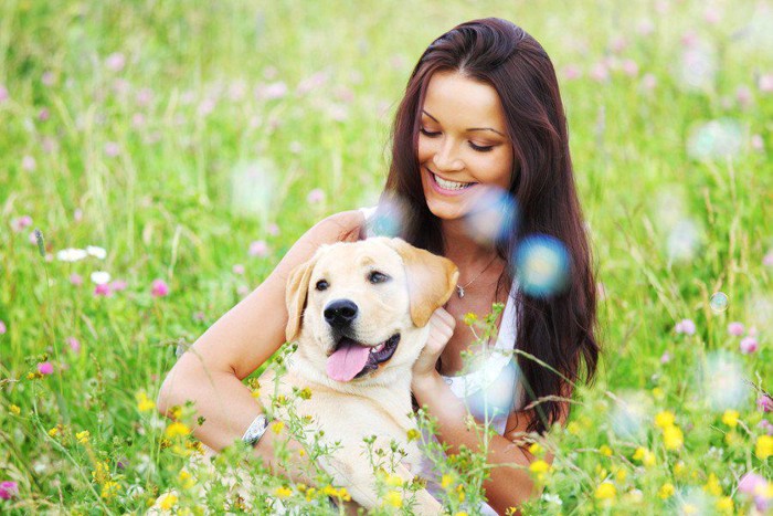 花畑の女性と犬 