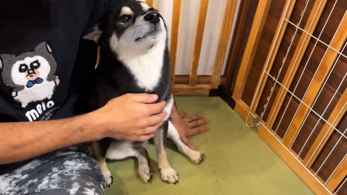 男性とお座りする犬