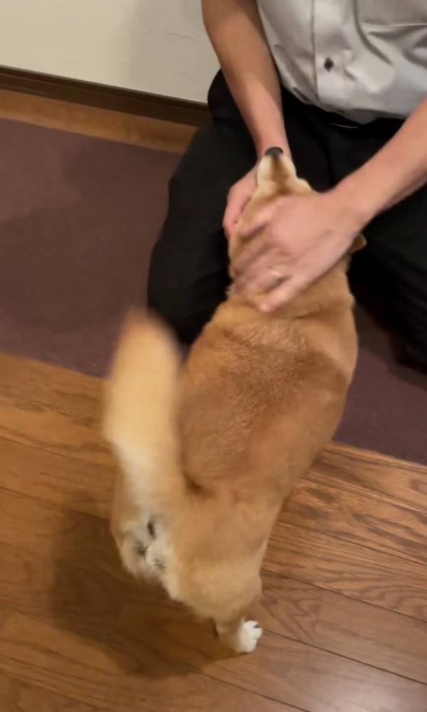 再びナデナデ