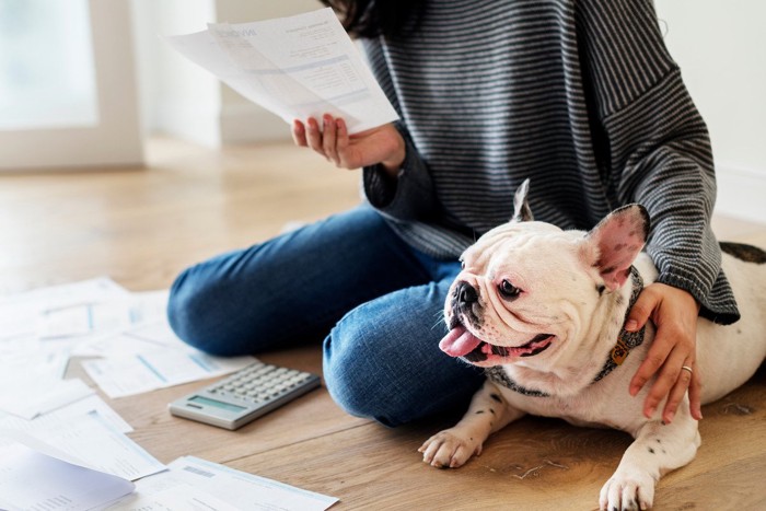 書類・計算機・床に座る人と犬