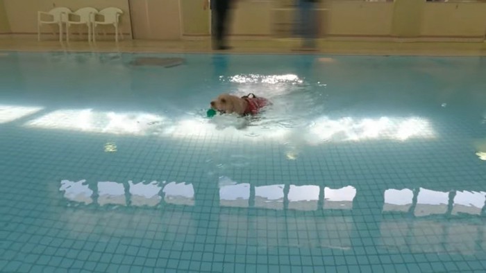 ボールをパクっとくわえて…