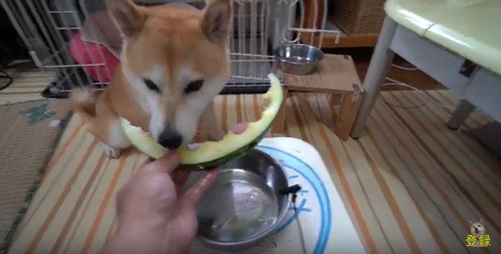 あっという間に完食