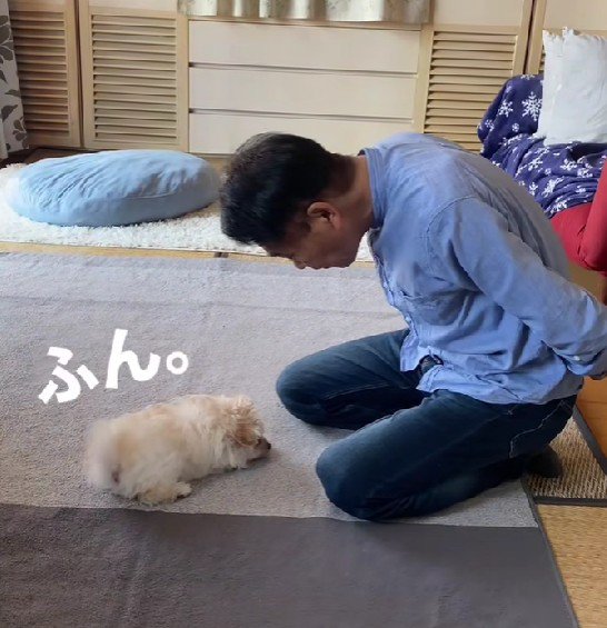 無視されちゃった