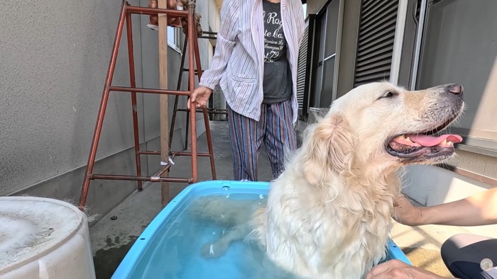「水風呂、最高~っ!」
