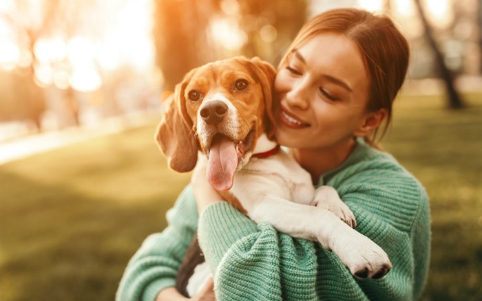 犬と飼い主