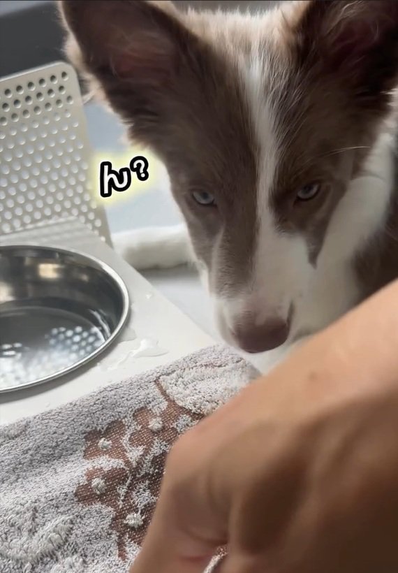 タオルを指さすママ