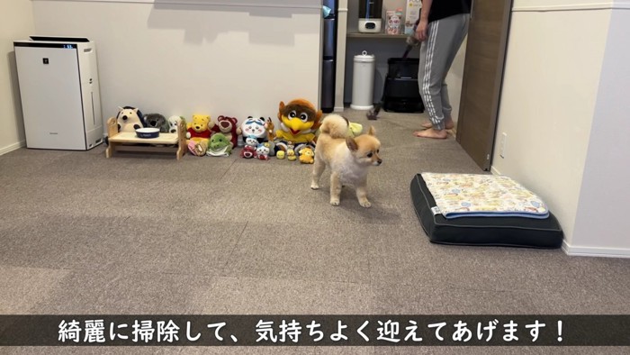 もうすぐママが帰ってくる！