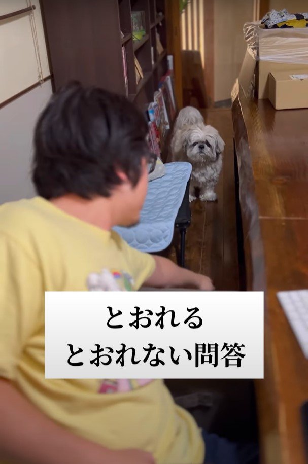 隙間を指さす人と犬