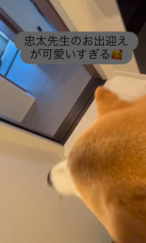 忠太くんの熱烈歓迎8