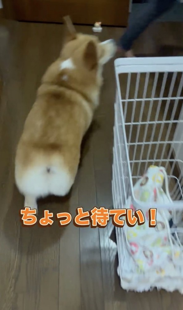 ピッタリ追います!
