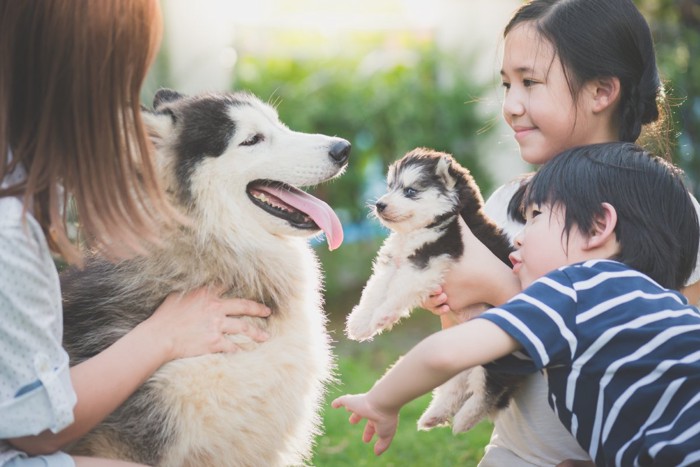 家族と寄り添う犬