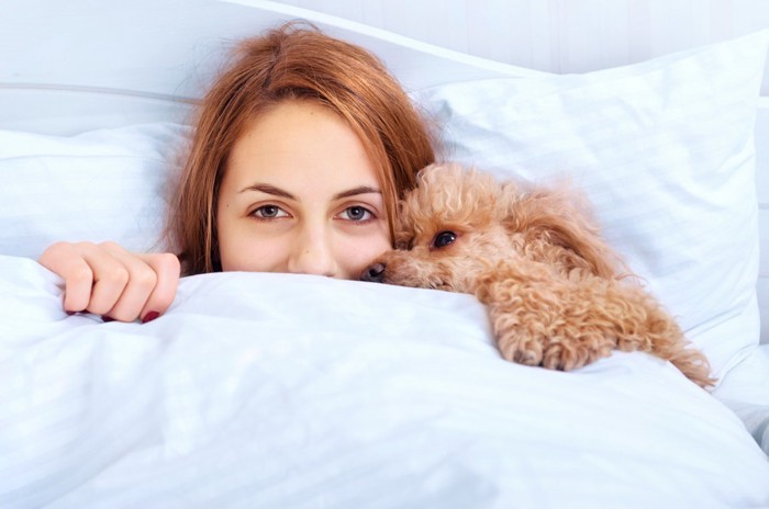 一緒に眠る女性とトイプードル