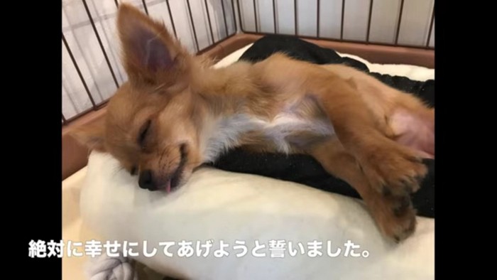 「絶対に幸せにしてあげよう」