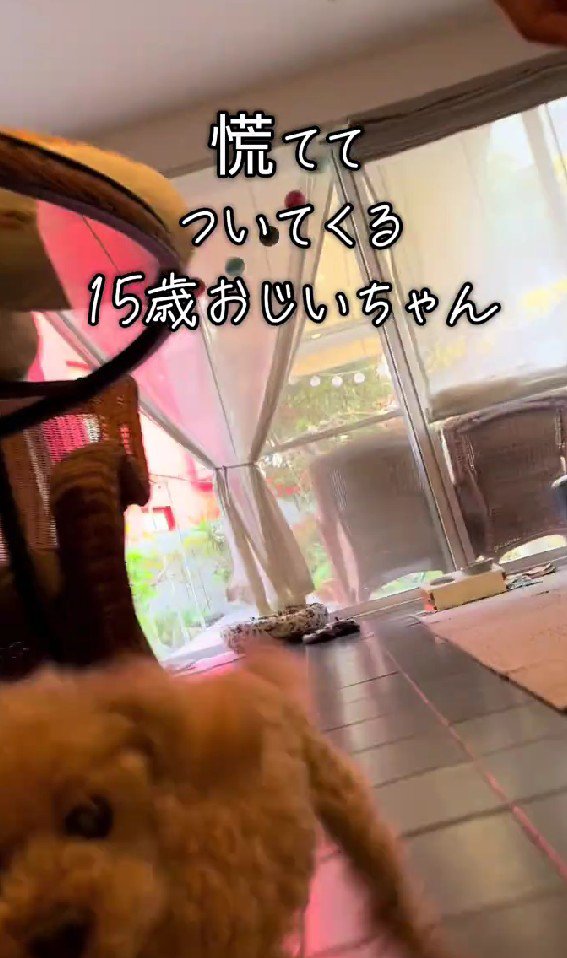 大喜びのサンタちゃん♪