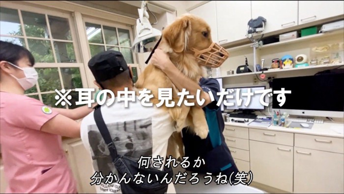 診察台から降りようとする犬