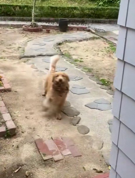 「許可が出た!」
