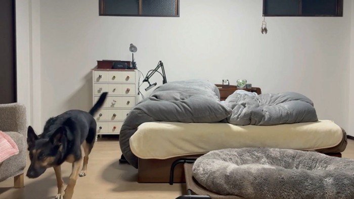 帰るのが早すぎる!