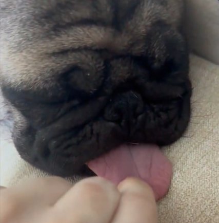 ベロ