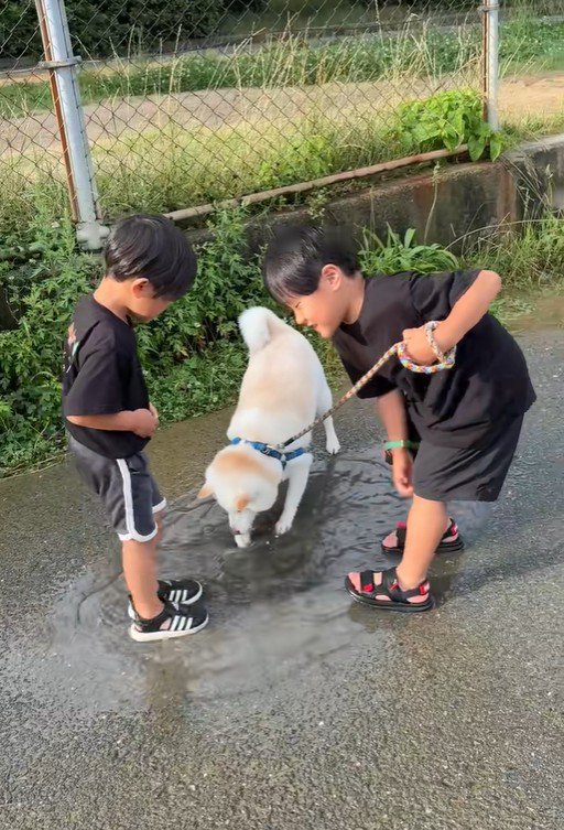 水たまりで遊ぶスズちゃんたち8