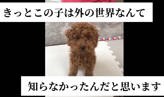 どんよりした表情です