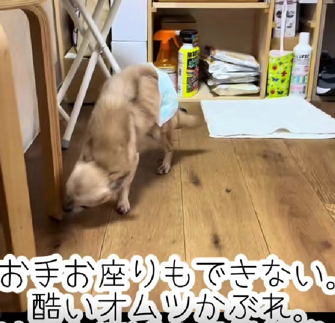 「死んじゃってもいい」と言われた