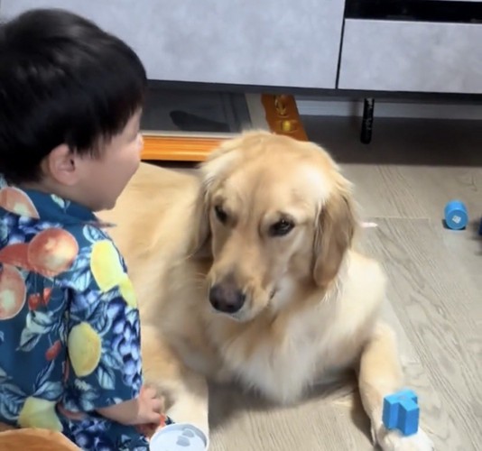 笑う子どもと犬