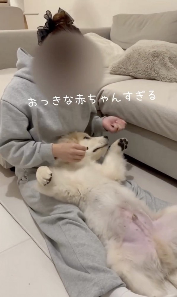 「おやつー」