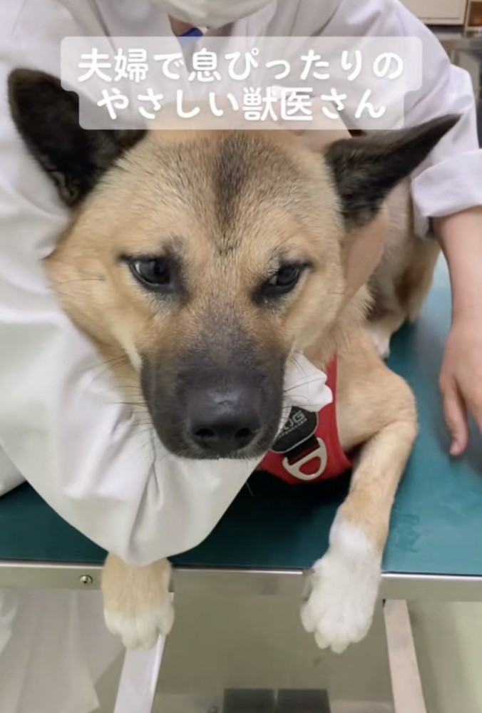 愛情を感じます