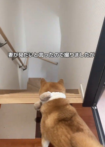 見えなくなると…
