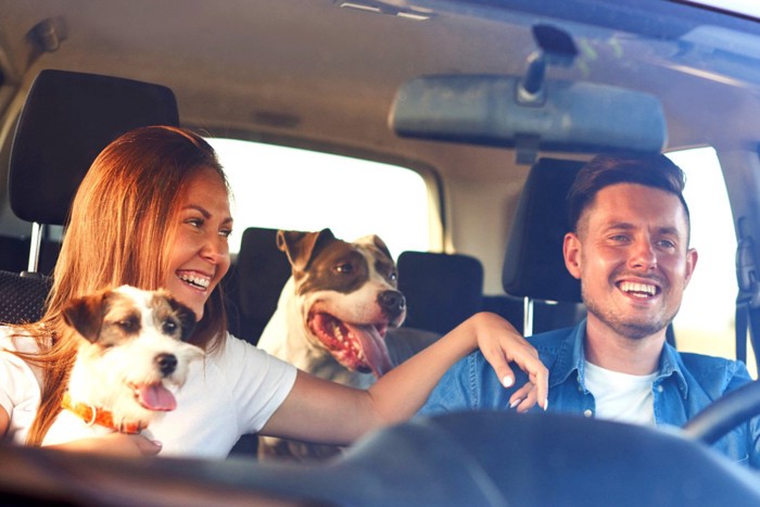 車内の家族と犬