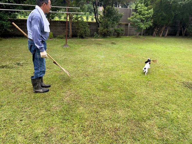 大はしゃぎ