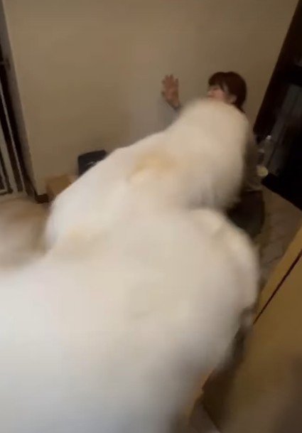 勢いよく飛びついて…