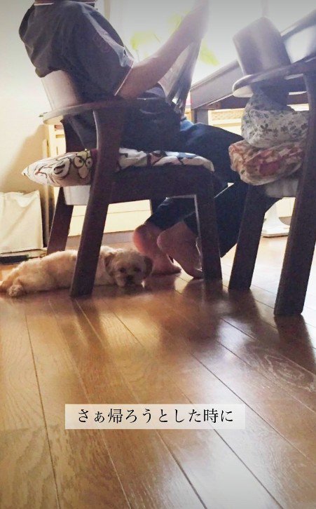 何よりも大切な存在
