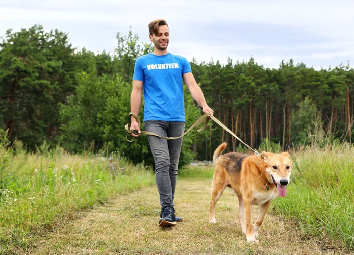 保護犬と散歩する男性