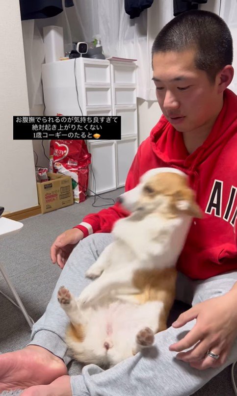 撫でられたいたるとちゃんVSパパさん3