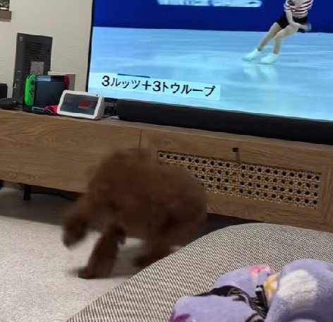 「自分もできる!!」