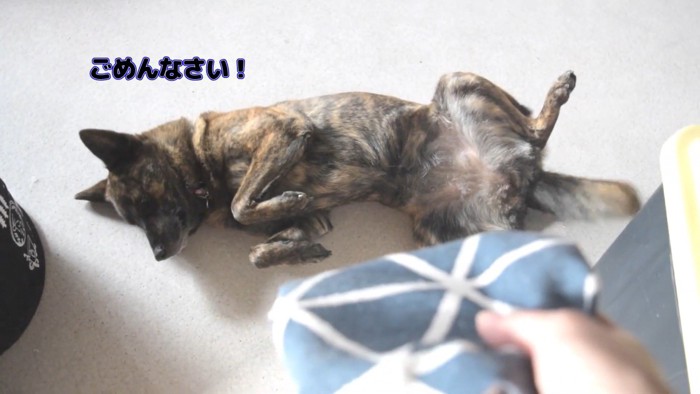 ハルヱちゃんの反省の仕方8