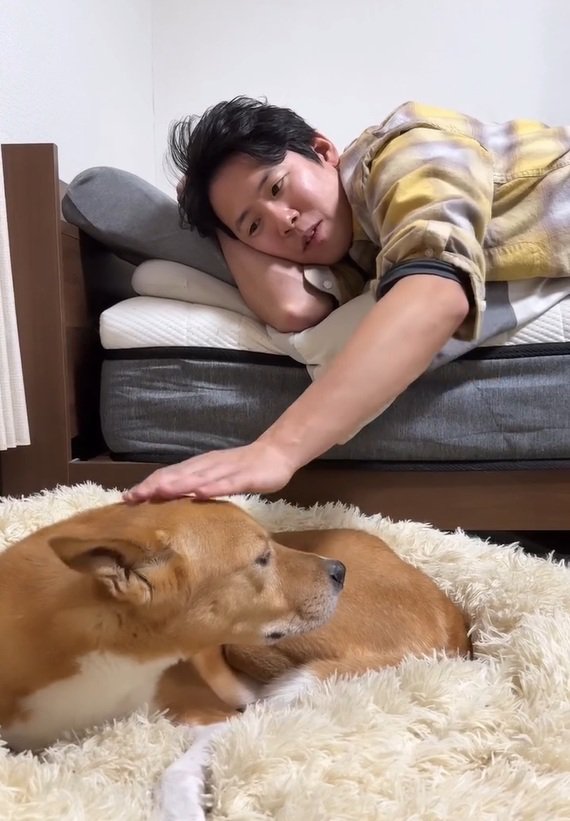 耳が倒れる明智くん