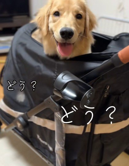ついに念願が叶ったよ!!