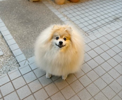 まんまる