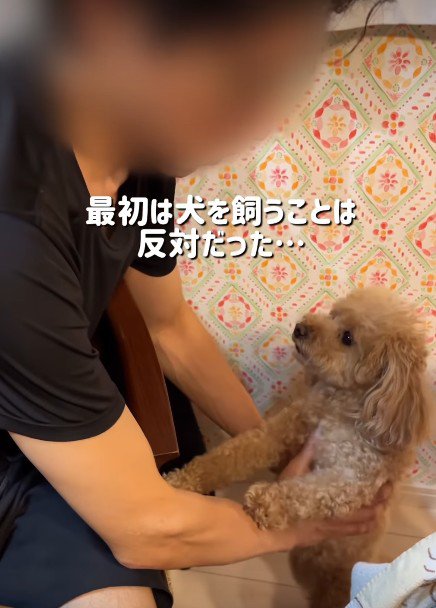 猫派のパパを押し切って…