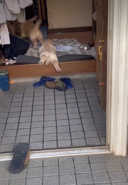 かわいいお尻にキュン♡