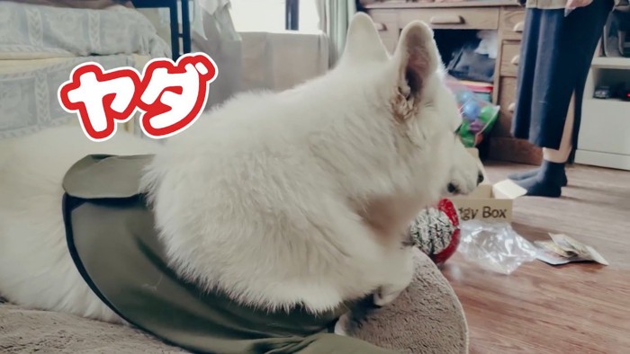 BJ くんに「お風呂入る？」と聞いたら⑩