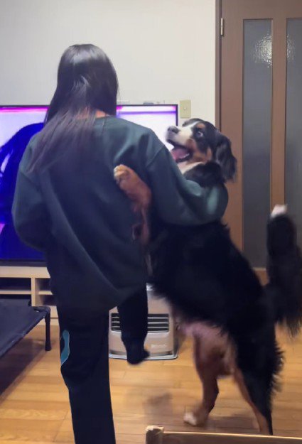 おもむろに飛びついた!!