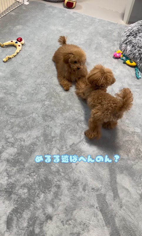 遊びたいうるくん＆めるるちゃん2